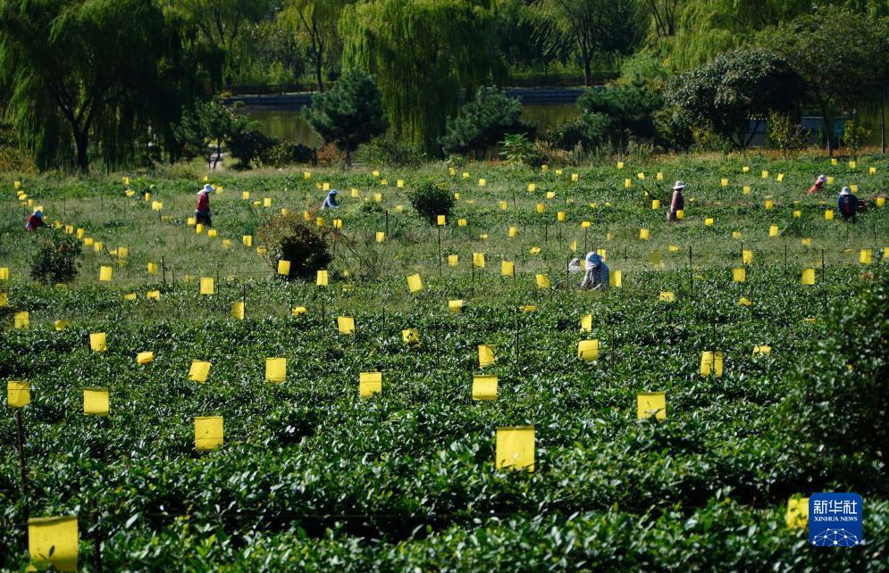 捕鱼达人游戏机厂家